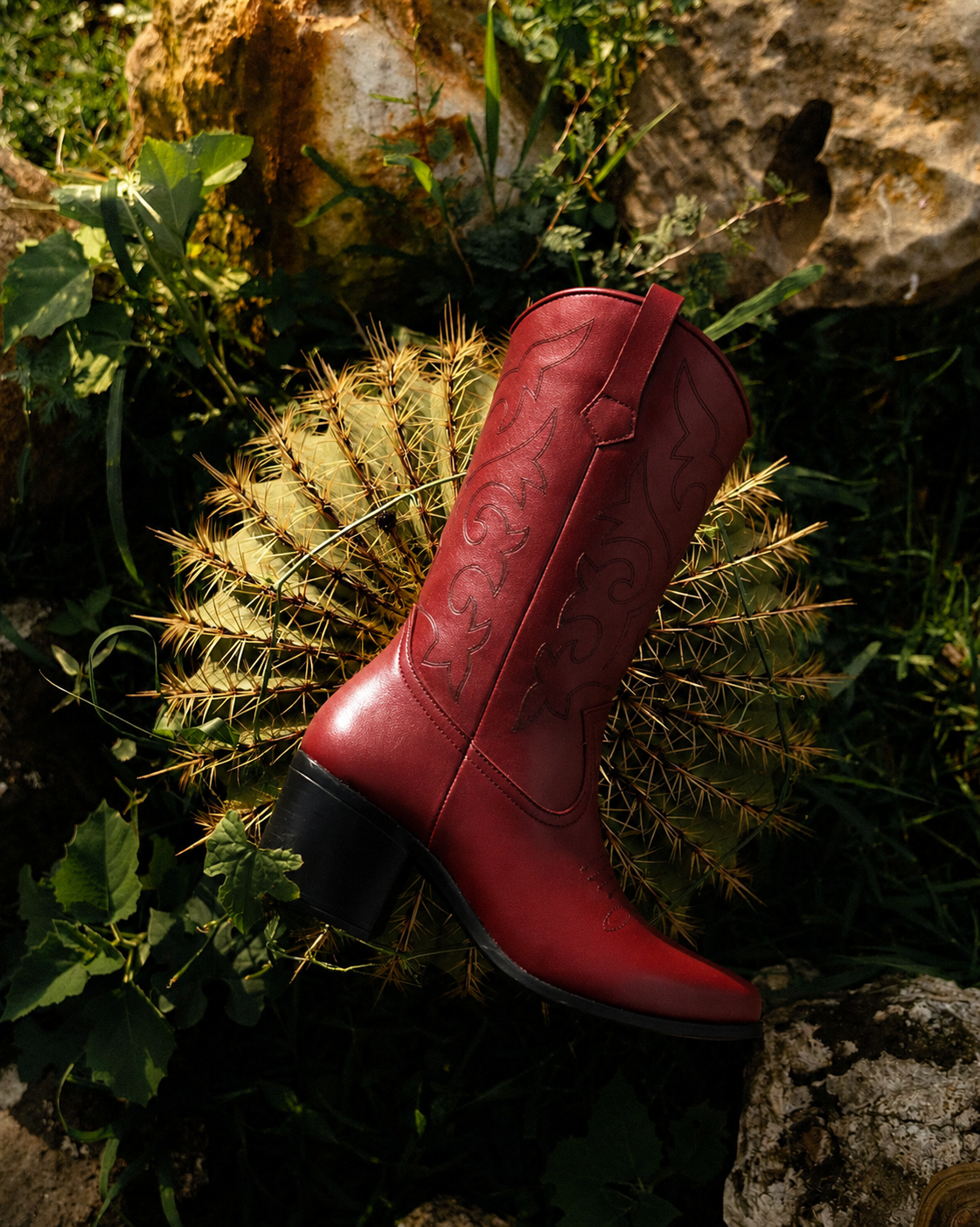Botines y Botas de Piel